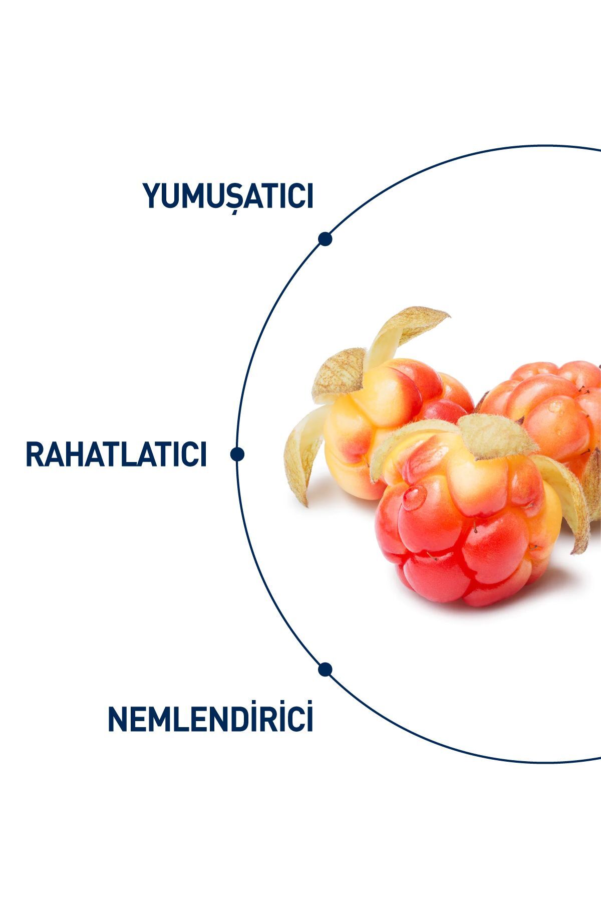 Celenes%20Cloudberry%20Yüz%20Yıkama%20Jeli%20Kuru%20ve%20Hassas%20Ciltler%20250%20ml