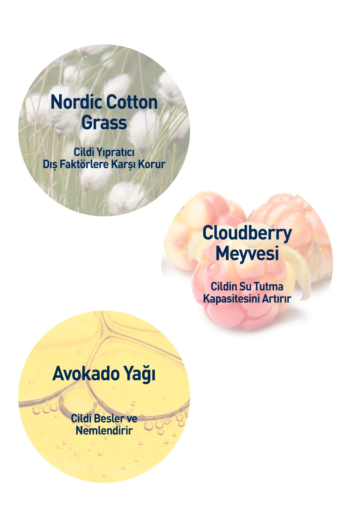 Celenes%20Cloudberry%20Yatıştırıcı%20Yüz%20Bakım%20Kremi%20Kuru%20ve%20Hassas%20Ciltler%2050%20ml